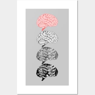 Dark Matter = Grey Matter Posters and Art